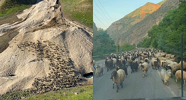 Yayla sezonu gecikmeli başladı   
