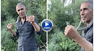 Zehirli yılanı yakalayıp boynuna doladı