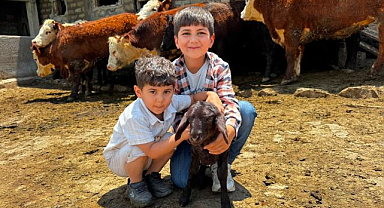 5 binden fazla başvuru yapıldı, Destekler teslim ediliyor