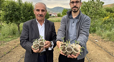 Ata tohumlara sahip çıkıyorlar
