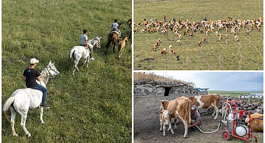 Besiciler yaz boyunca yaylalarda üretim yapıyor