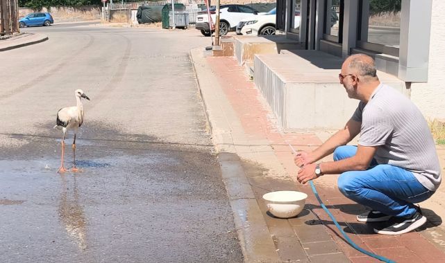 Düşen leylek yavrusuna itfaiye ekiplerinden müdahale