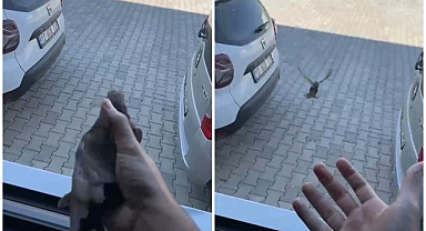 Duyarlı vatandaşlar fark etti, itfaiye kurtardı