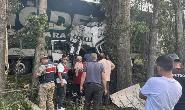 Erzurum'da ağaçlara çarpan tırın sürücüsü öldü