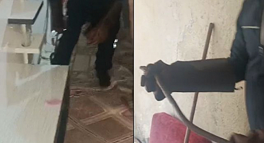 Eve giren yılan korku dolu anlar yaşattı!