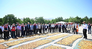 Geçen yıl don vardı, bu yıl bereket
