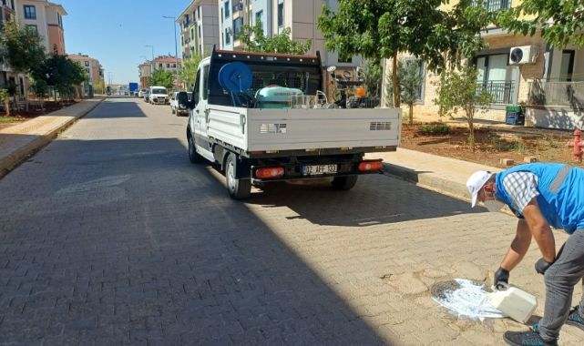 Haşerelere karşı önleyici çalışma