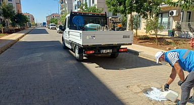 Haşerelere karşı önleyici çalışma