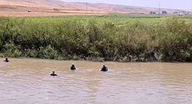 Hilvan Can'ı arama çalışmaları devam ediyor