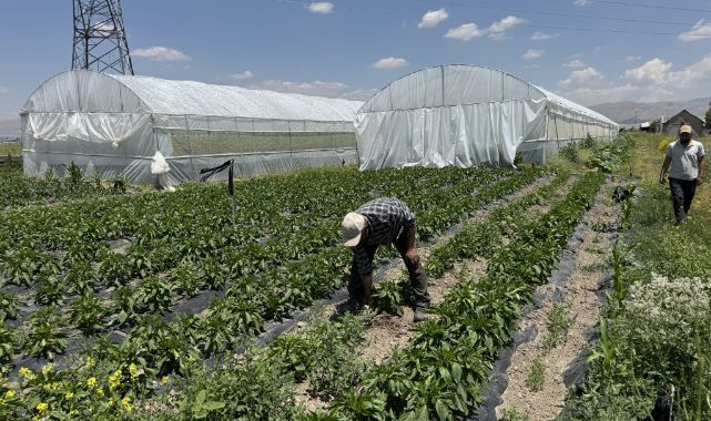 Hurda malzemelerle başlamıştı sera sayısını altıya çıkardı