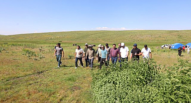 Huzurla birlikte yaylalar yeniden canlandı