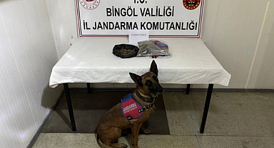 Jandarmadan peş peşe operasyon