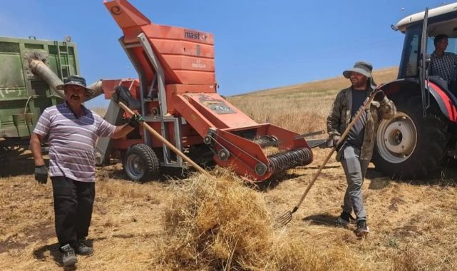 Kaliteli tohum için hasat kontrolü