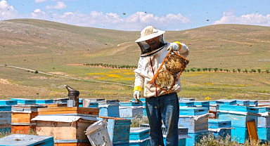 Keven balı hasadı başladı! Bu yıl 65 ton rekolte bekleniyor