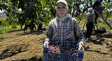 Kirazda bereketli hasat yüz güldürdü
