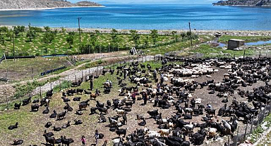 Kırkım atıkları doğada tehlike saçıyor!
