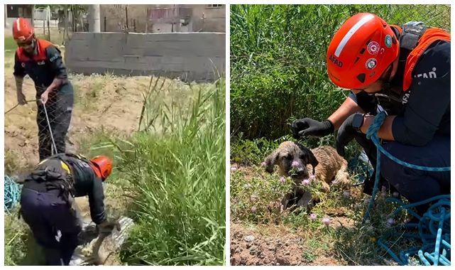 Kuyuya düşen köpek için seferber oldular