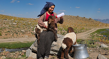 Kuzulara adeta annelik yapıyor
