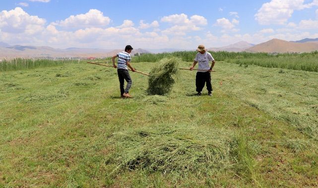 Meralar canlandı! Üreticinin umudu arttı