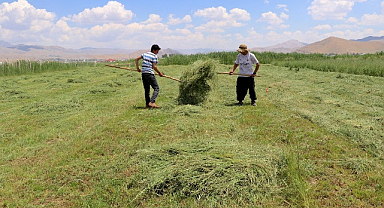 Meralar canlandı! Üreticinin umudu arttı