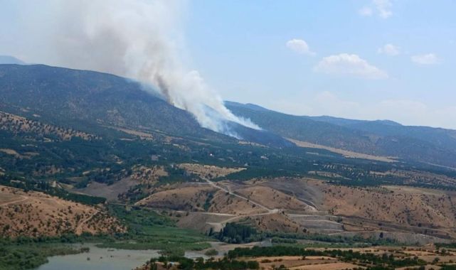 Ormanlık alanda korkutan yangın