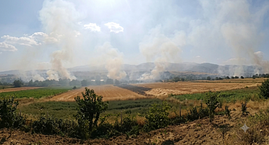 Otluk alanda yangın paniği
