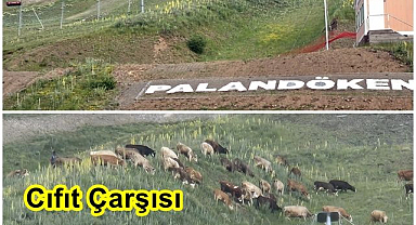 Palandöken sırası şimdi onlarda