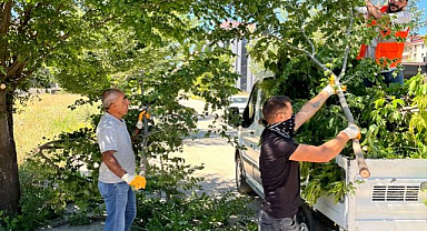 Park ve bahçelerde çalışmalar sürüyor