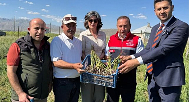 Salep üretimi yeni gelir kapısı oldu