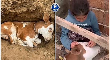 En yakın dostuna böyle veda etti...