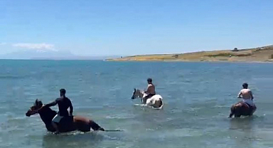 Sıcaktan bunalan gençler atlarla göle girdi
