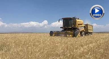 Tarımın kalbinde buğday hasadı başlandı   
