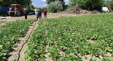 Tescilli lezzetin üretimi aralıksız sürüyor