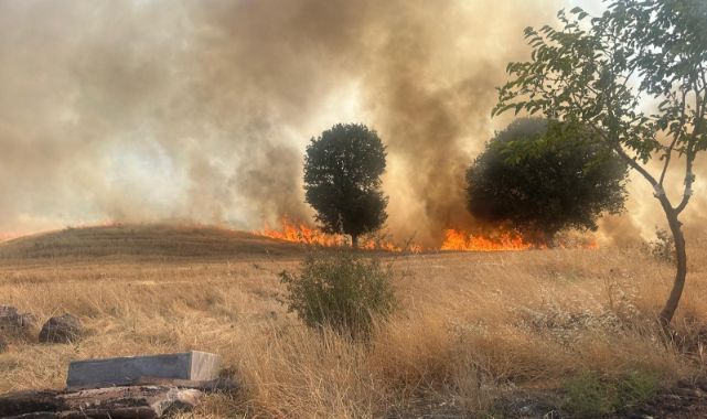 Trafo yangını ağaçlık alanı yok etti   
