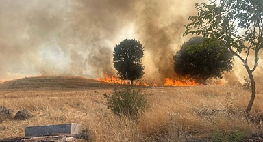 Trafo yangını ağaçlık alanı yok etti   