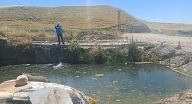 Üvez ve sivrisineğe karşı seferberlik