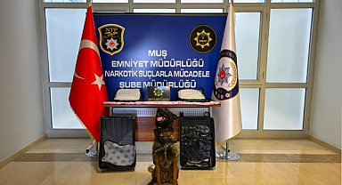 Valizden uyuşturucu çıktı!