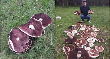 Yağmur yağdı meralar mantarla doldu!