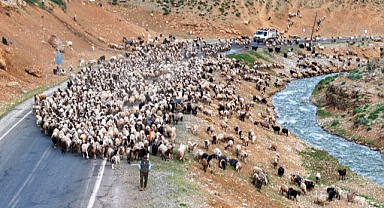 Yaylalarda gün iki kez aynı mesaiyle başlıyor