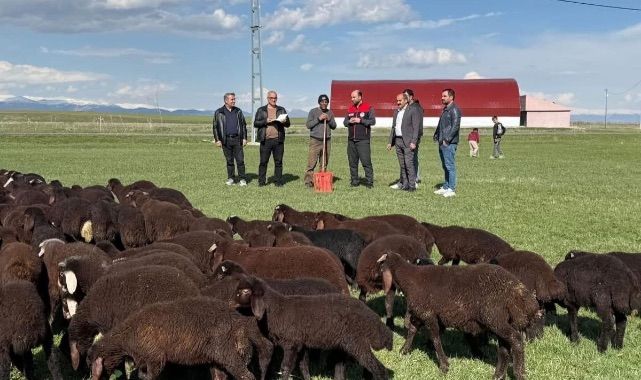 Yetiştiricilere çifte destek müjdesi
