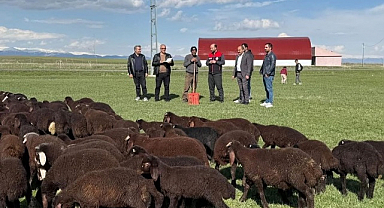 Yetiştiricilere çifte destek müjdesi
