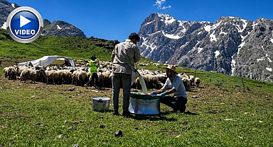 Zorlu yayla şartlarında tescilli lezzet üretiliyor   