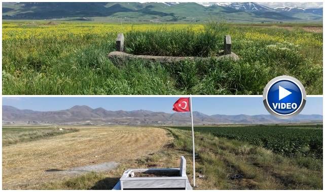 149 yıldır Erzurum Ovası'nda nöbet tutuyor... O şehidin mezarı yenilendi