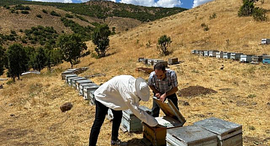 Arıcılara destekleme ve hastalık denetimi   