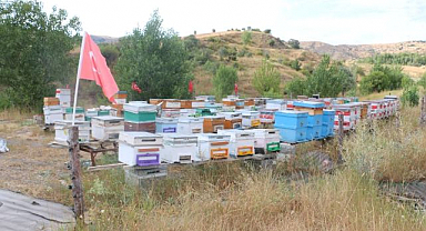 Arılığını Türk bayraklarıyla donattı