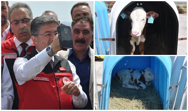 Bakan Yumaklı GEKİS'i tanıttı! Büyükbaş hayvancılıkta 