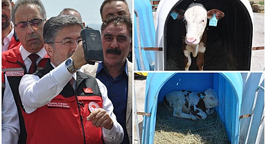 Bakan Yumaklı GEKİS'i tanıttı! Büyükbaş hayvancılıkta 