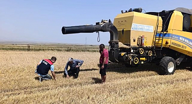 Biçerdöver hasadı kontrolleri sıklaştırıldı