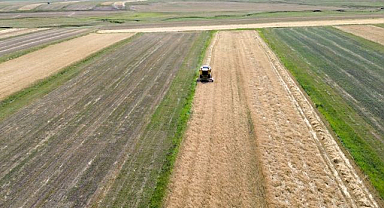 Çiftçilerin arpa hasadı mesaisi başladı!