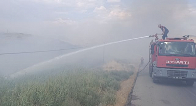 Çıkan yangın yürekleri ağza getirdi! 100 dönümden fazla alan zarar gördü 